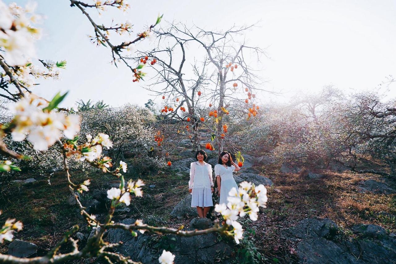 The November - Moc Chau 아파트 외부 사진